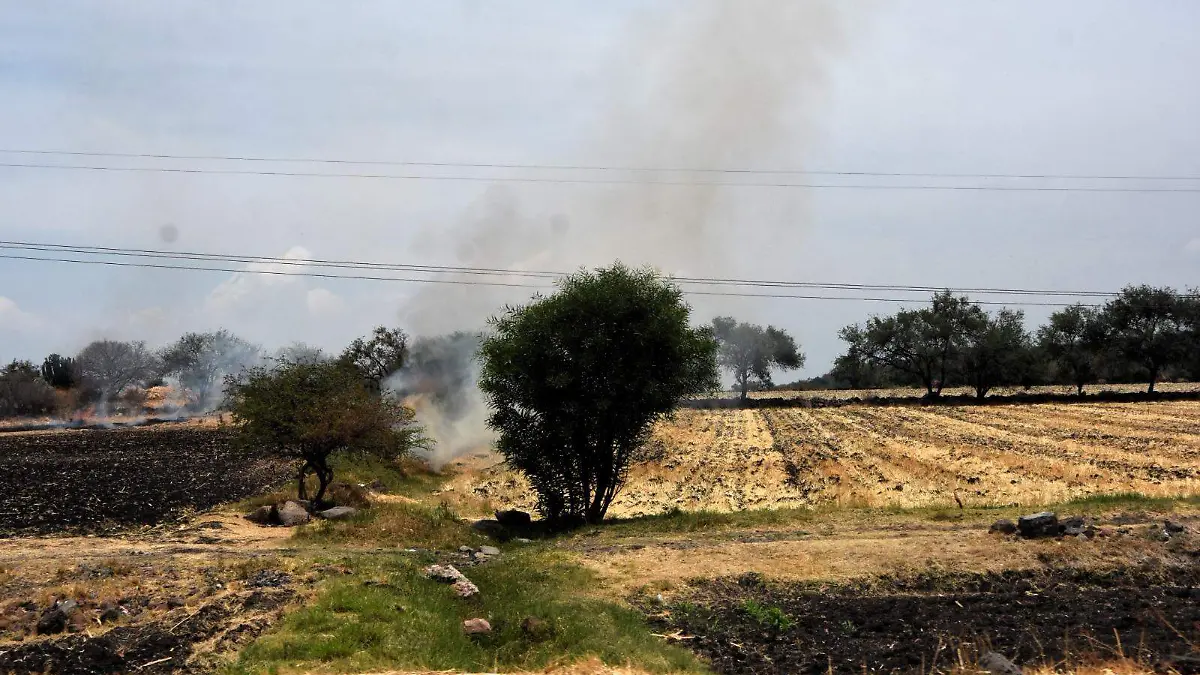 Los incendios de pastizales