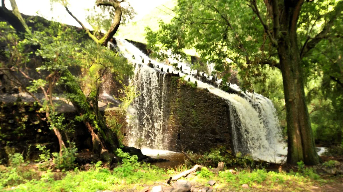Tecnificar (1)