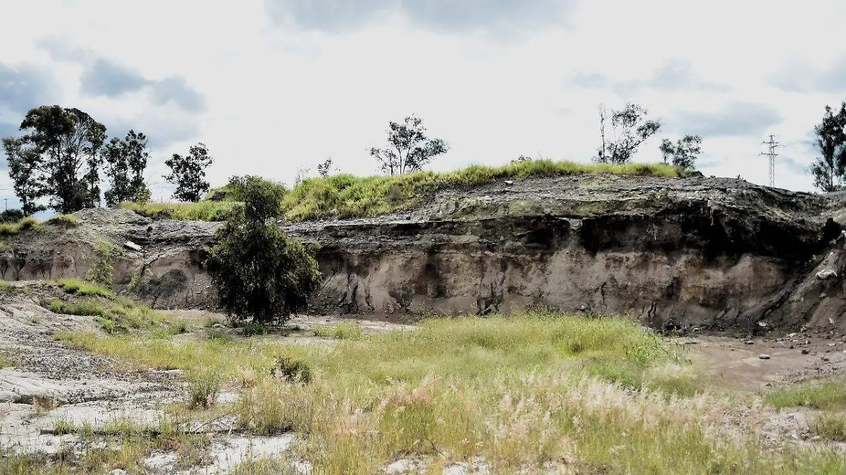 Image 2024-05-16 at 1.48.30 PM (1)