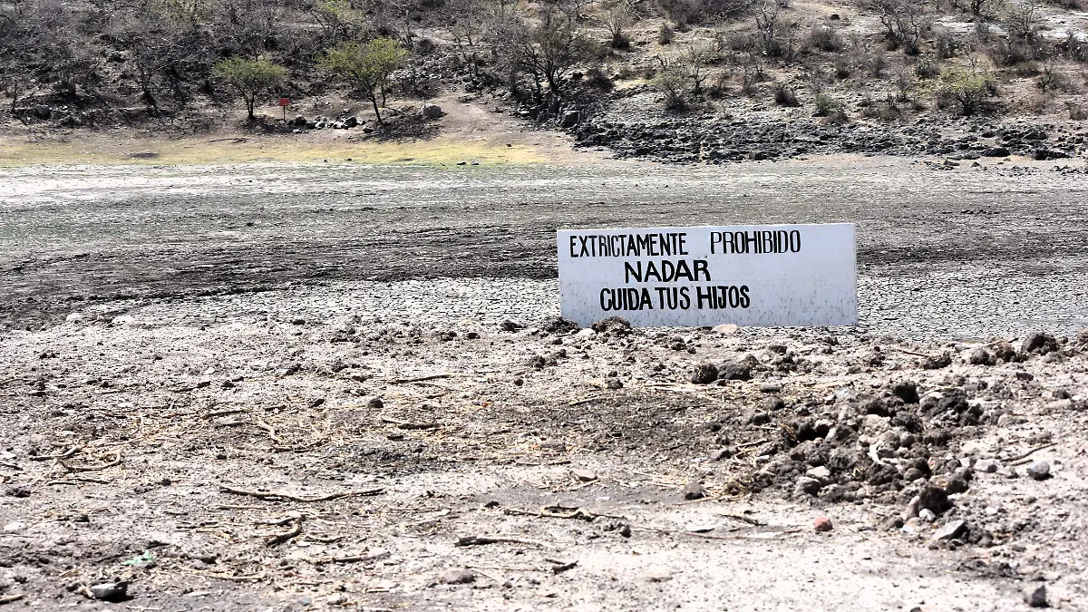 presas rompe picos (3)