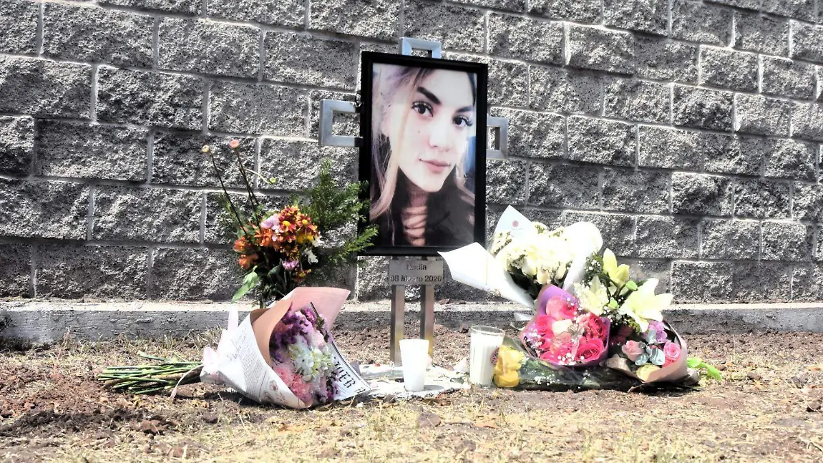 WhatsApp Image 2024-03-08 at 2.39.06 PM