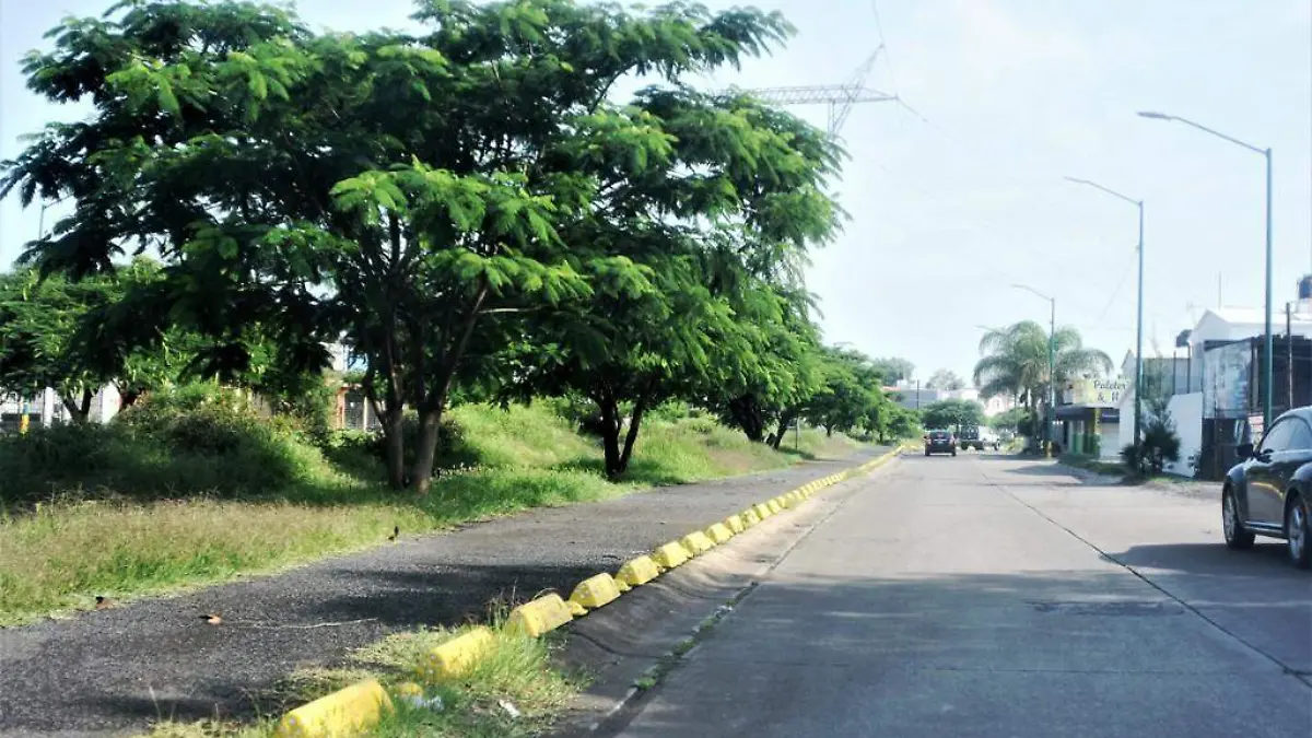 Image 2024-05-22 at 4.55.45 PM (1)