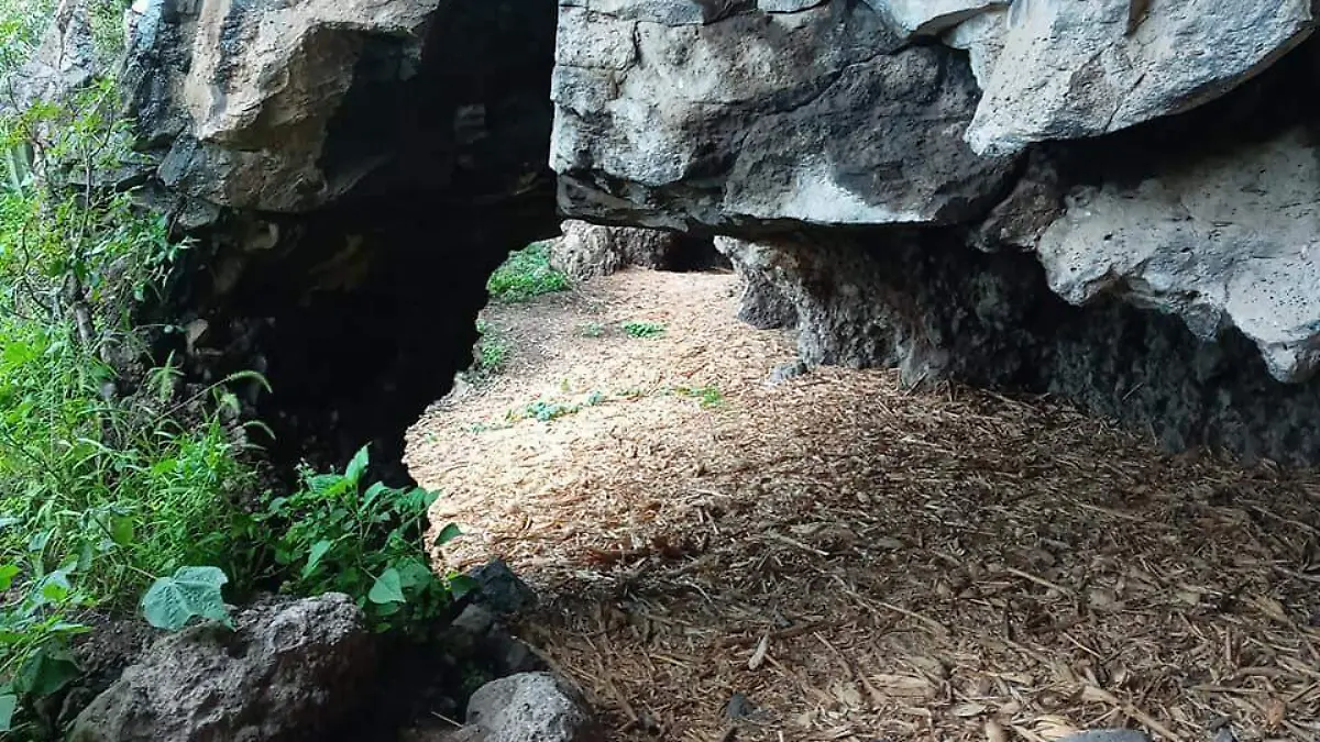 pinturas rupestres para el museo 1