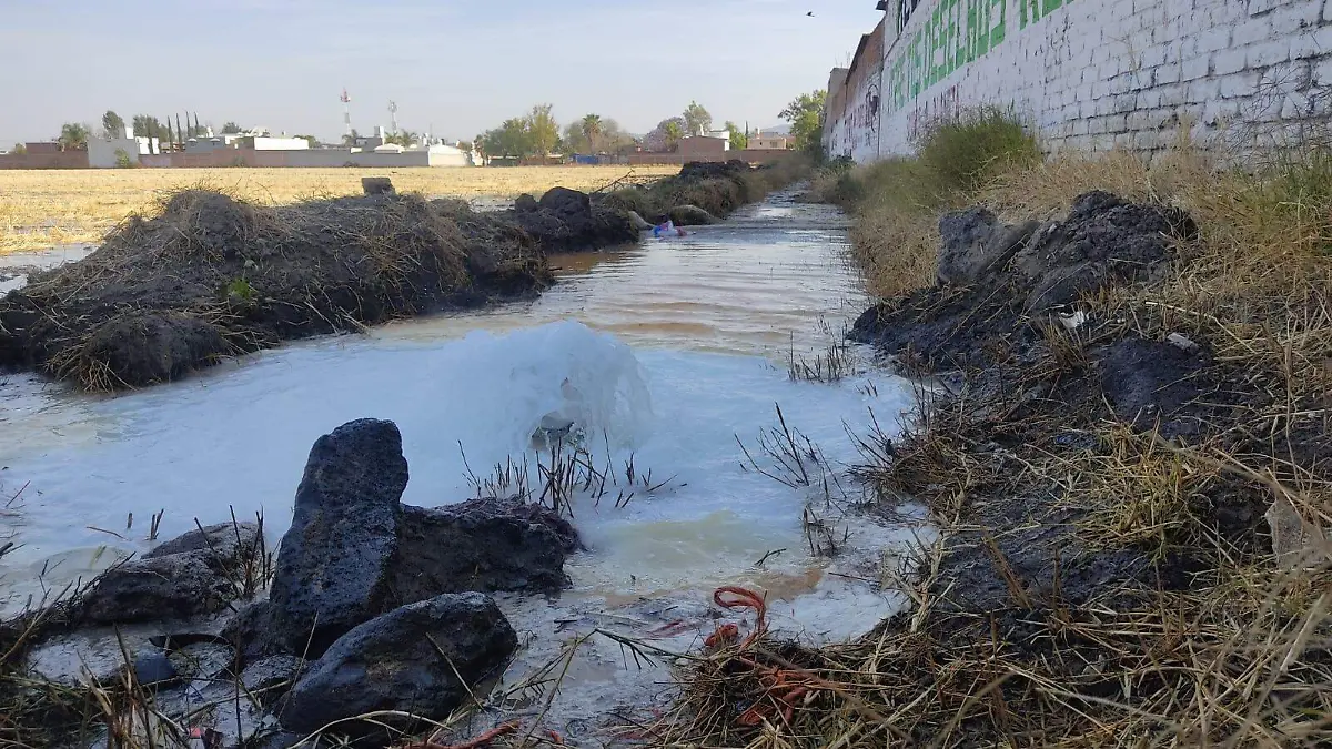 contaminación (5)