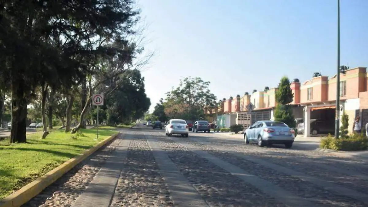 Image 2024-03-23 at 7.33.15 PM