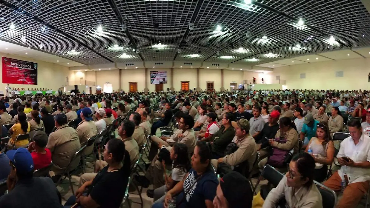 pemex (4)