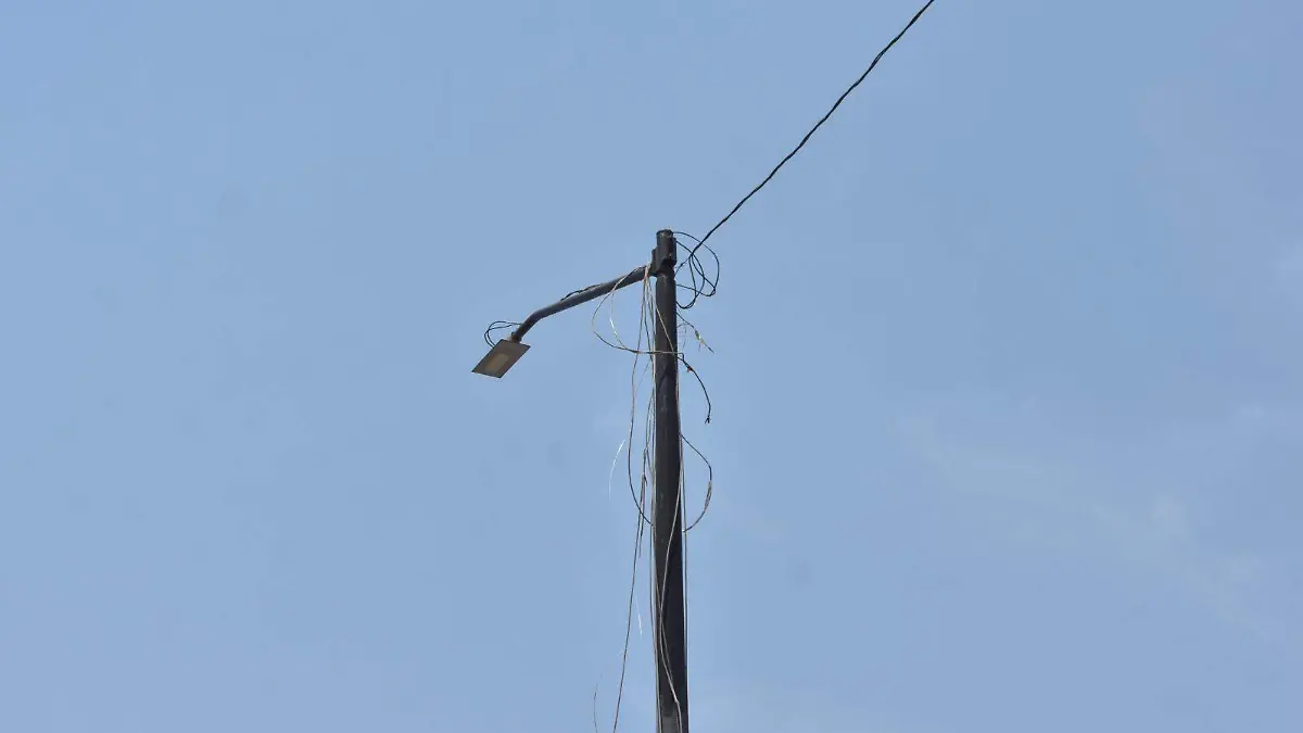 Image 2024-04-16 at 12.38.46 PM (2)