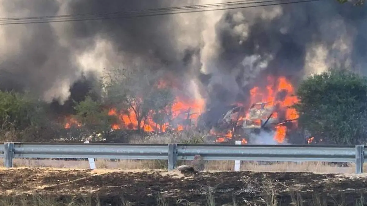 8e01eb71-3fe0-4a56-8f38-58a07d69dded