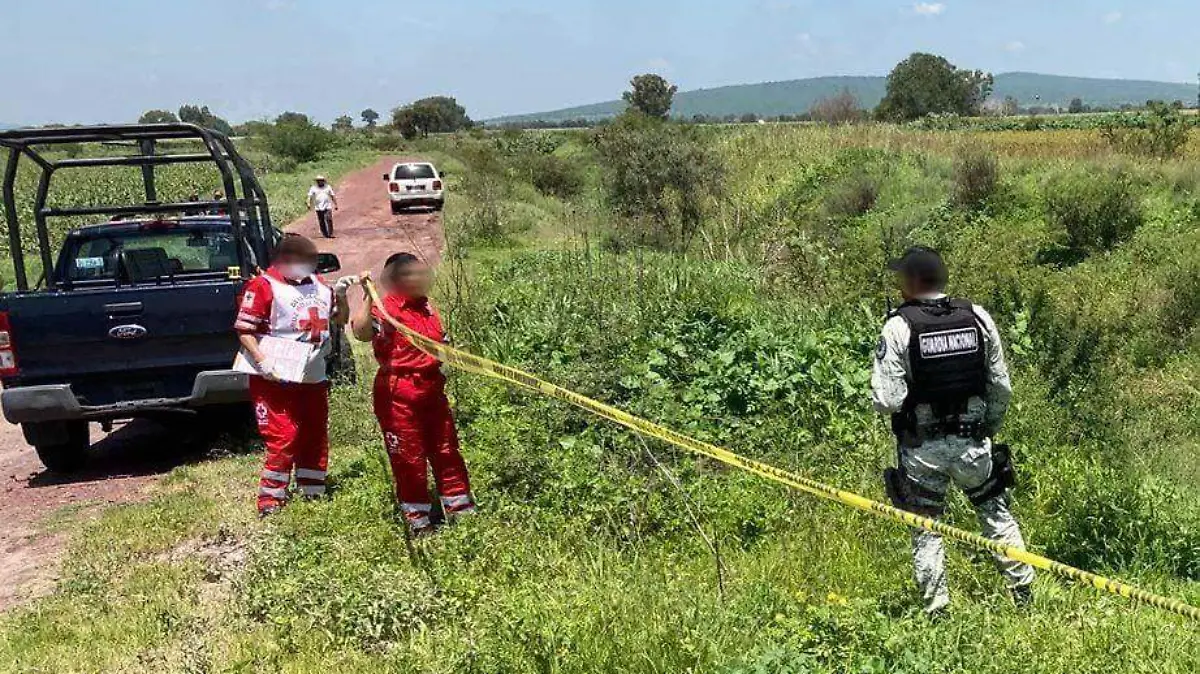 fc106b6a-db1e-4764-a06e-d7e556e0702e