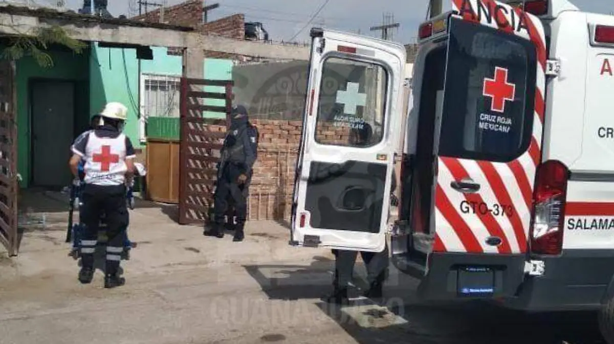 d83126dc-5586-41ac-862d-fadfefaa4c50