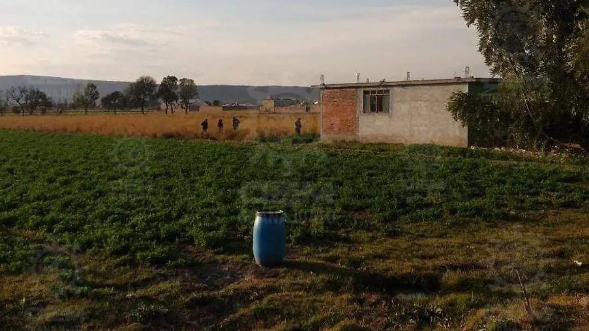 ff29ff1c-0031-480f-98eb-c4b3e8e502f7 (1)