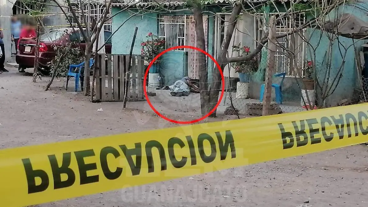 562f284a-c4d5-43cc-95c2-ae43bde4ba16