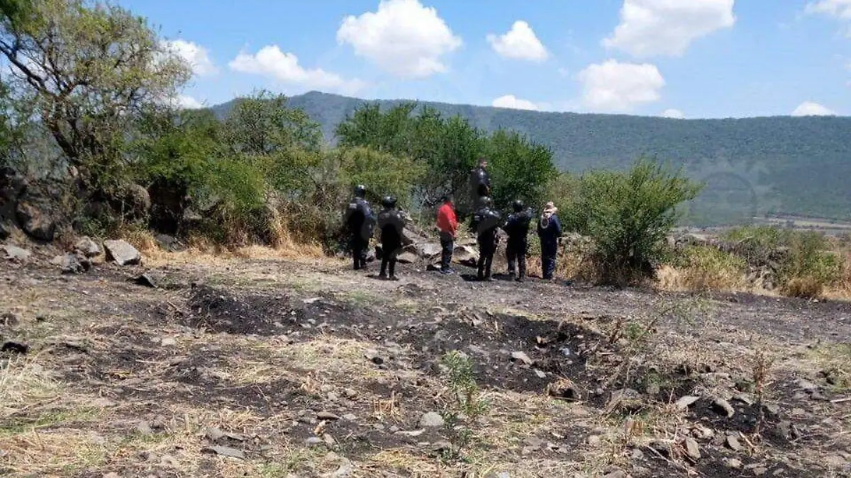 a92e1c32-38fe-48d1-ad06-625a382114c0