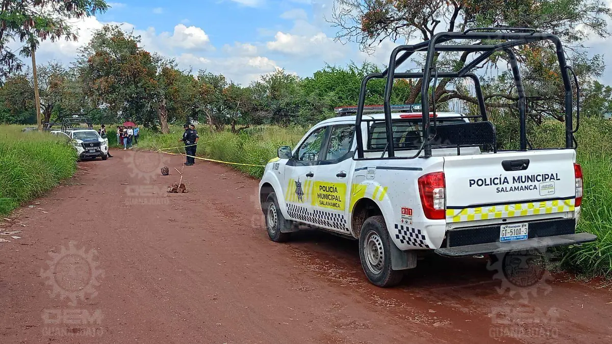 e7f037c2-fb5e-4873-8ae5-1e69c8cb3949