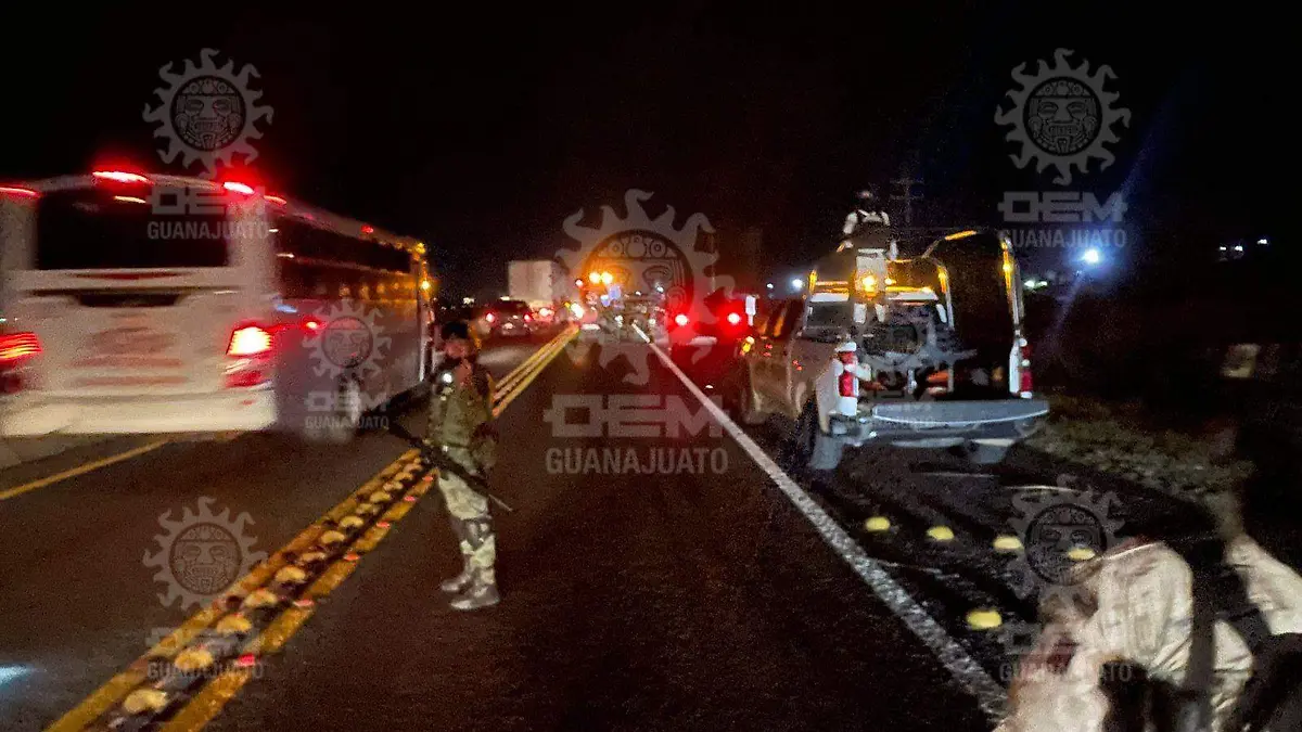 2f2dc786-31aa-4169-b668-bd52c3c75a5f