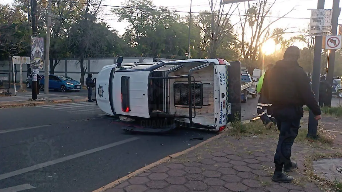 03d5d6bf-5054-4ca9-aa34-c703e78f8cc3