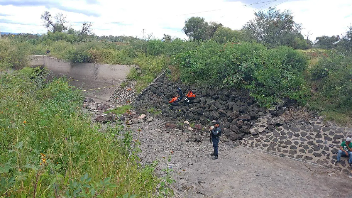 8c44cf69-a938-4499-bb64-466bc89494b6