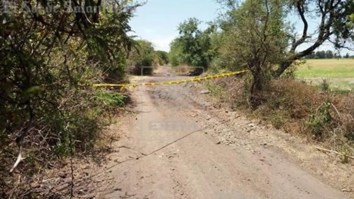 WhatsApp Image 2017-06-01 at 2