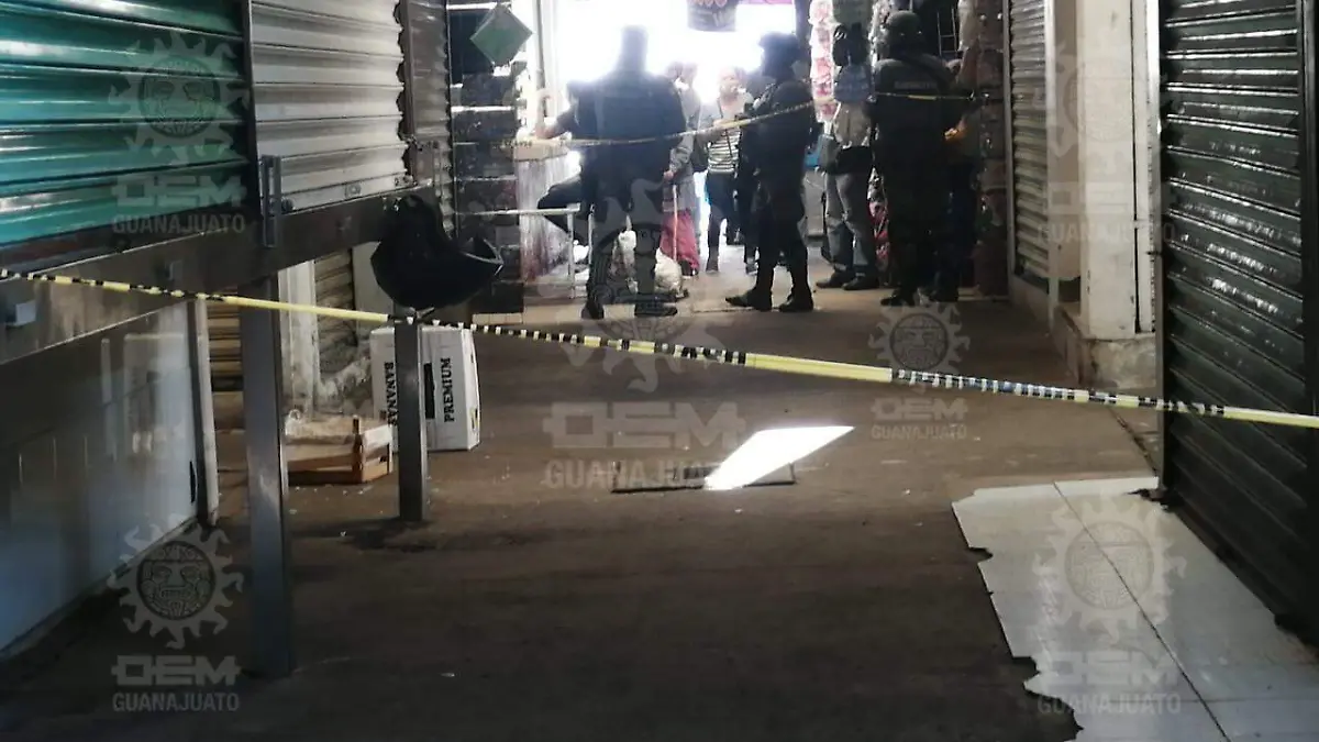 003055df-5719-4428-af9b-3cd36901f4fe