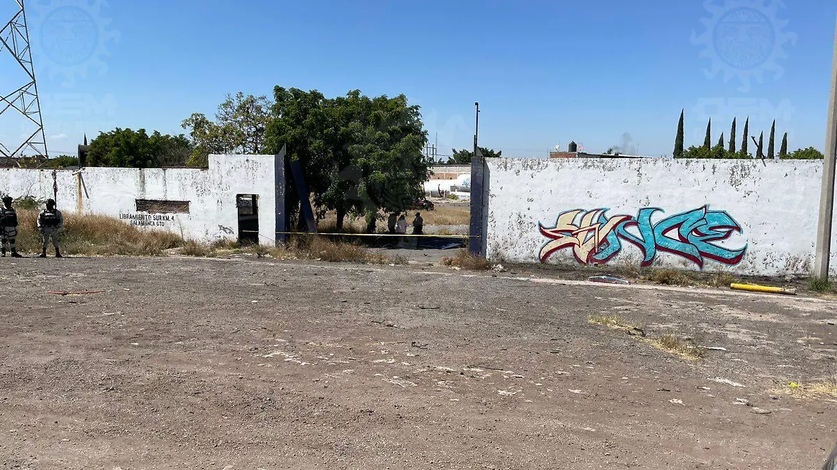 WhatsApp Image 2022-03-02 at 2.32.20 PM (1)