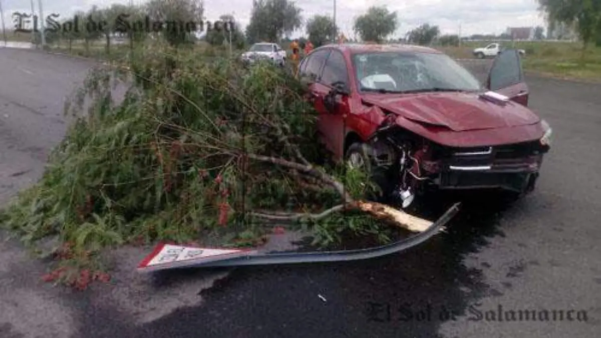 daños materialesokok