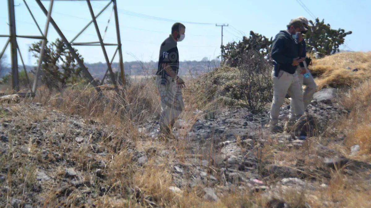 58f55ab2-d8ab-4207-9806-84764173aae9