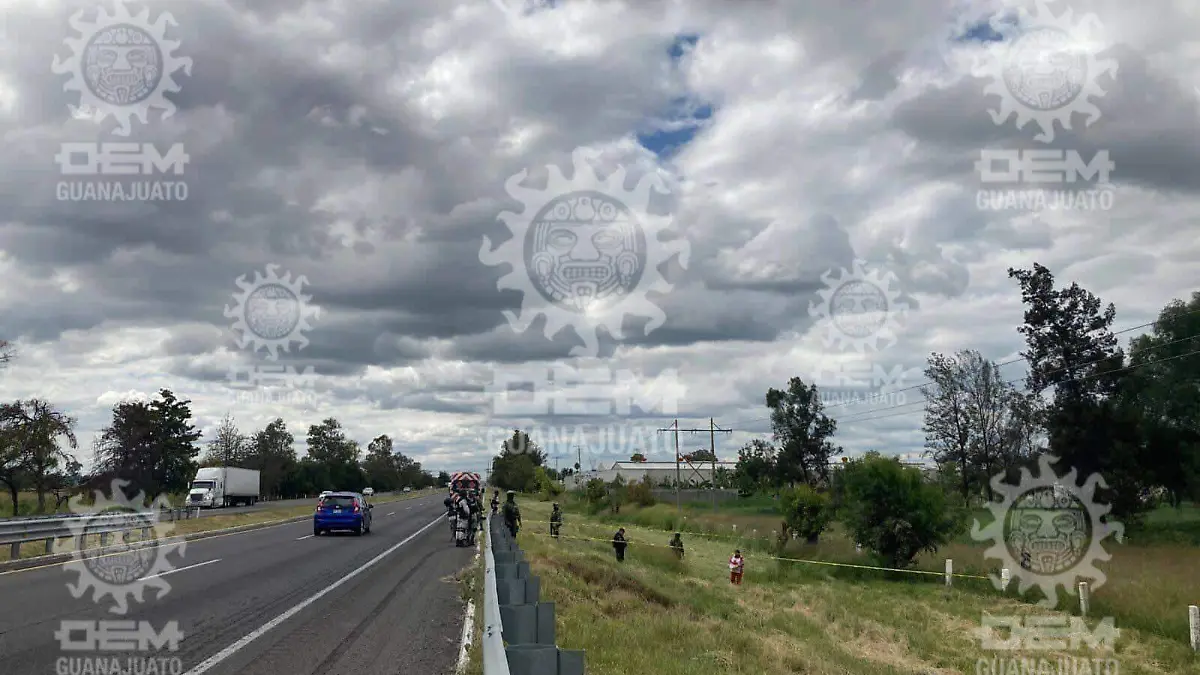 2860c5db-5a77-48e4-bc9e-0e4f4af80d4a