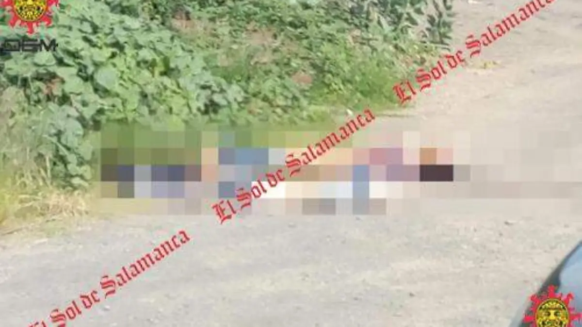 fd2d29e5-2423-497a-931e-863f4b0a1e35