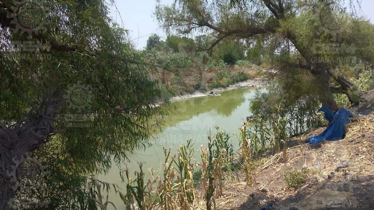 Image 2022-05-06 at 9.52.24 PM