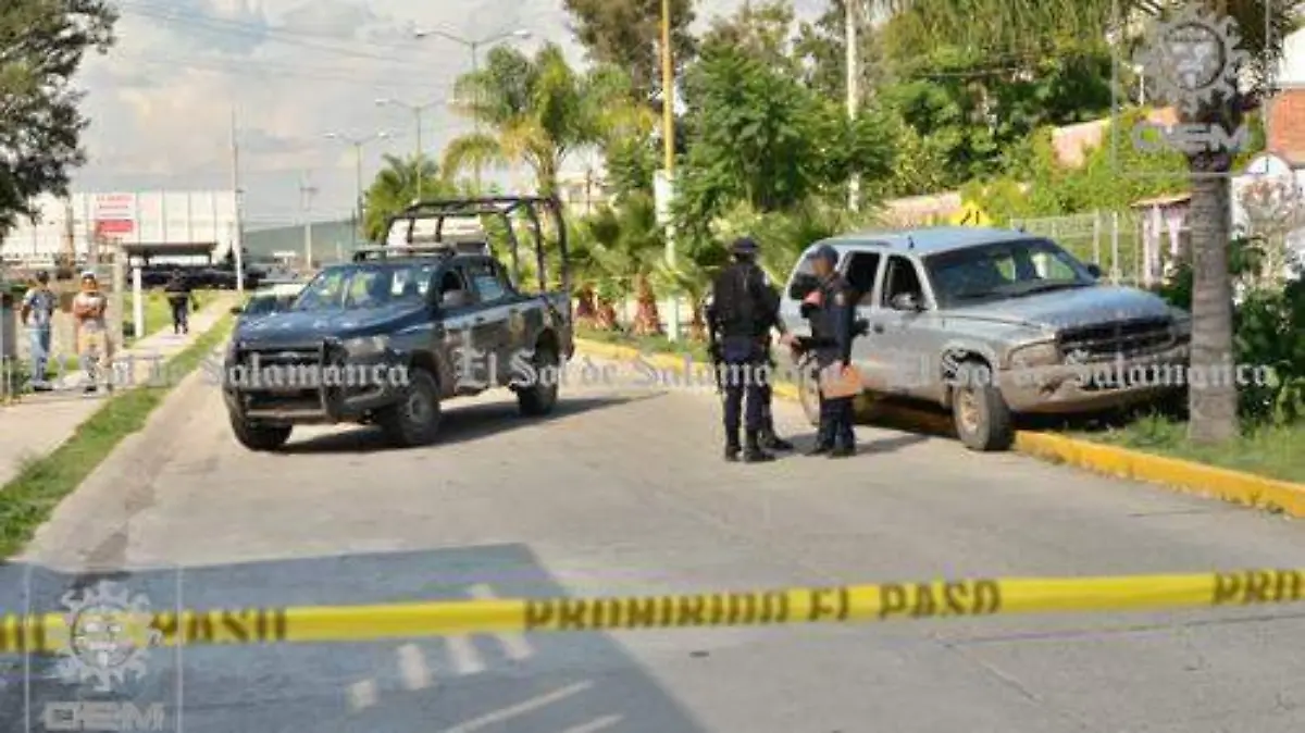 9ed9db76-4a6e-4750-8cf8-81d0dccd3191