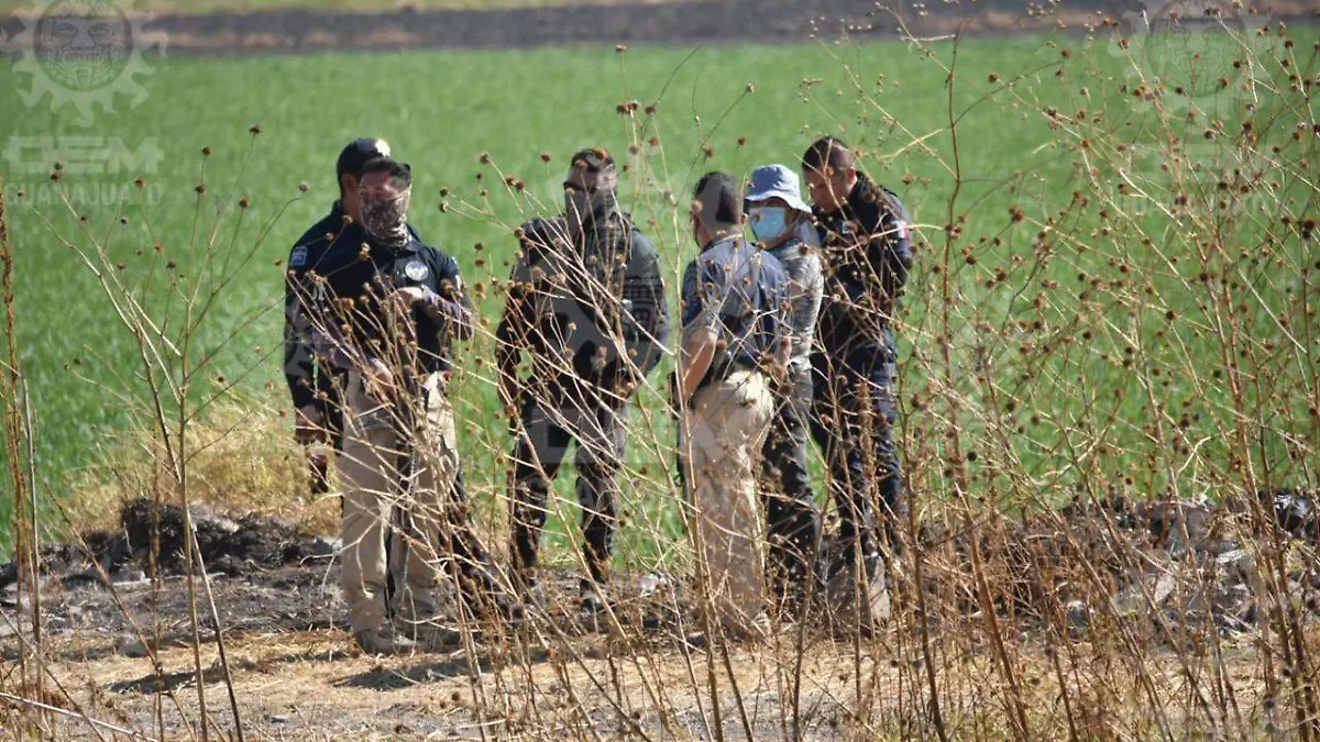 WhatsApp Image 2022-03-01 at 10.18.47 AM