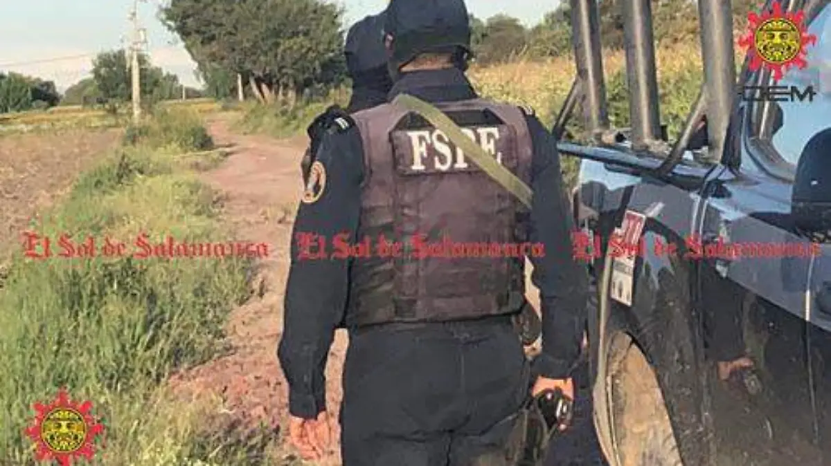 3aa33fa8-fc3b-4164-9874-e3f7292a49ca