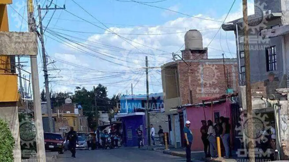 WhatsApp Image 2023-07-17 at 7.16.31 PM