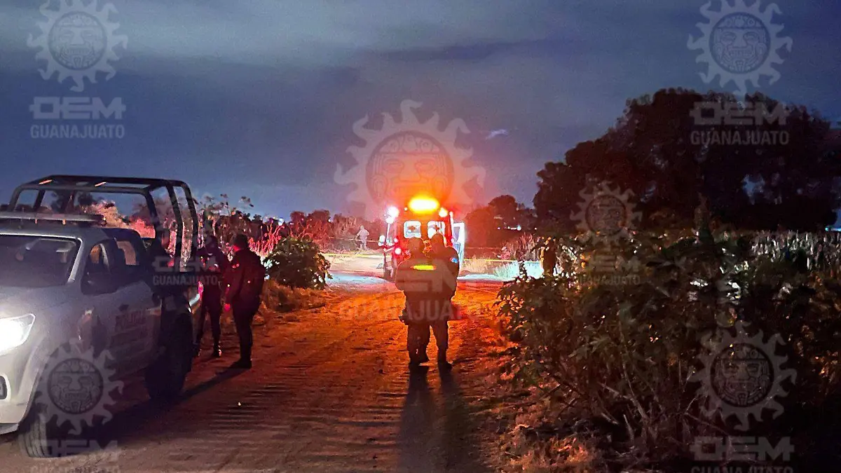 WhatsApp Image 2023-06-29 at 8.38.27 PM