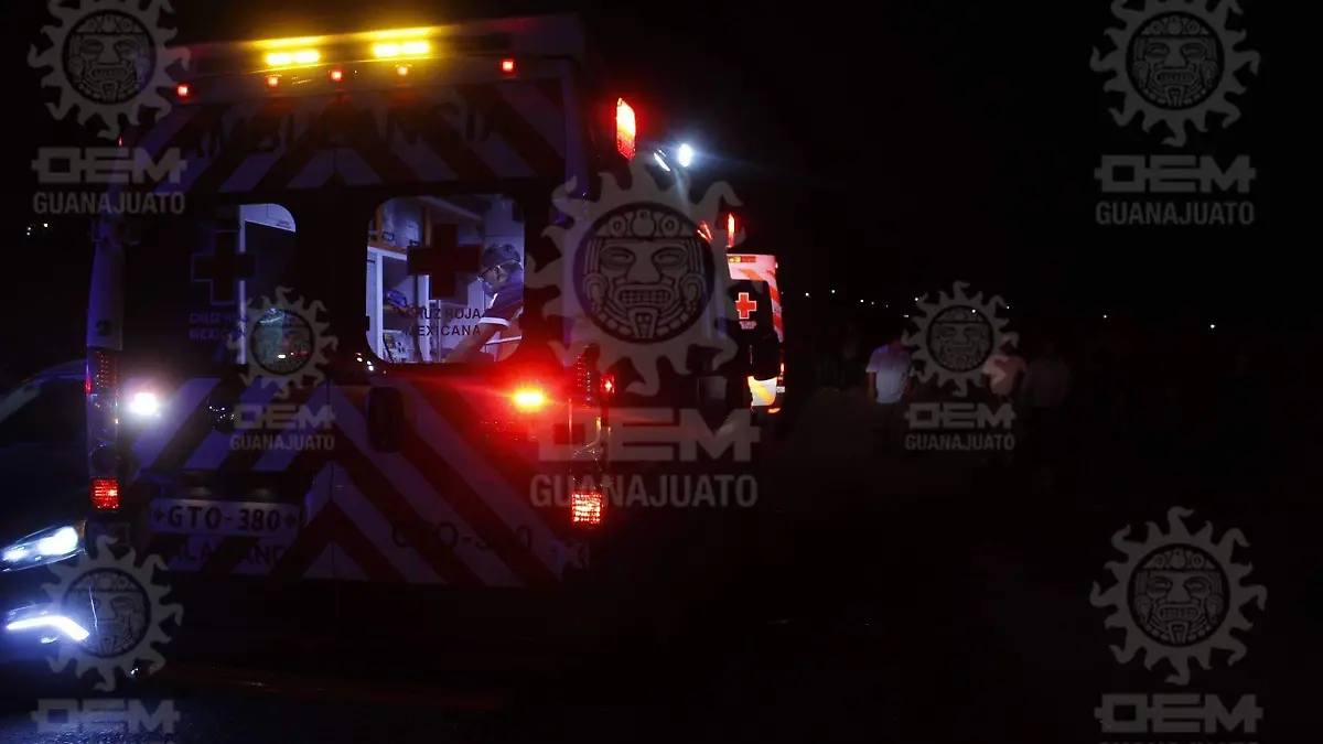 730015d9-c921-4065-9e3b-6cf51fbcdd6d