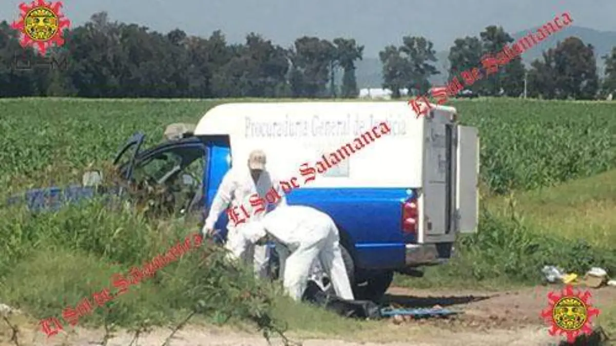desollado Valle de Santiago