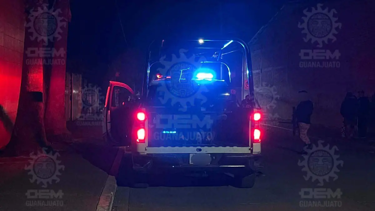 f77e0cdc-52a6-4bbb-a24b-d4fe6d28b98e (1)