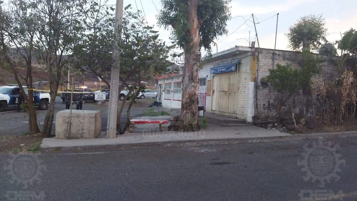 WhatsApp Image 2022-06-29 at 9.24.23 PM (1)