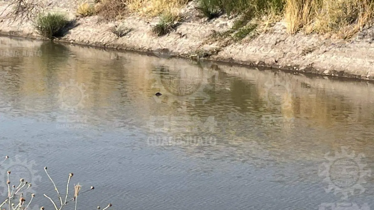 4cb31f14-9451-446e-8f2f-b3b9da21deb1