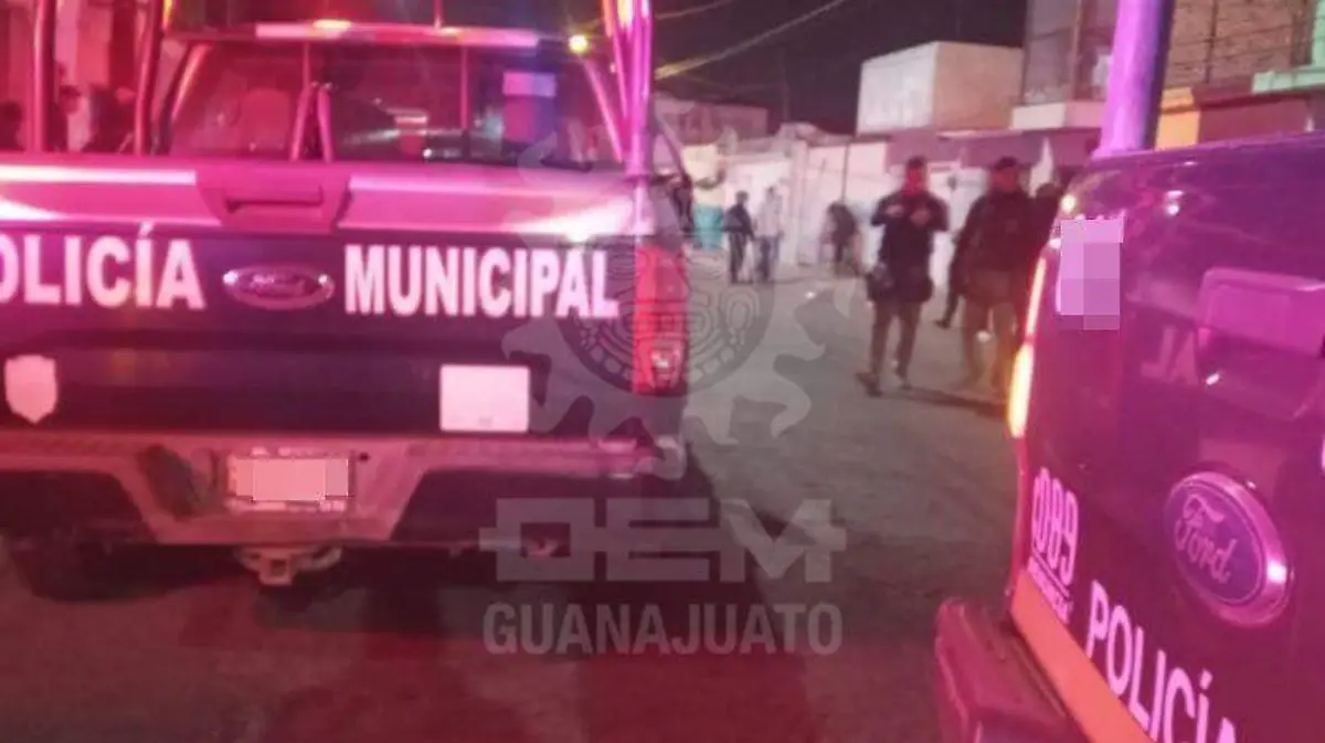 WhatsApp Image 2020-12-19 at 7.02.13 PM