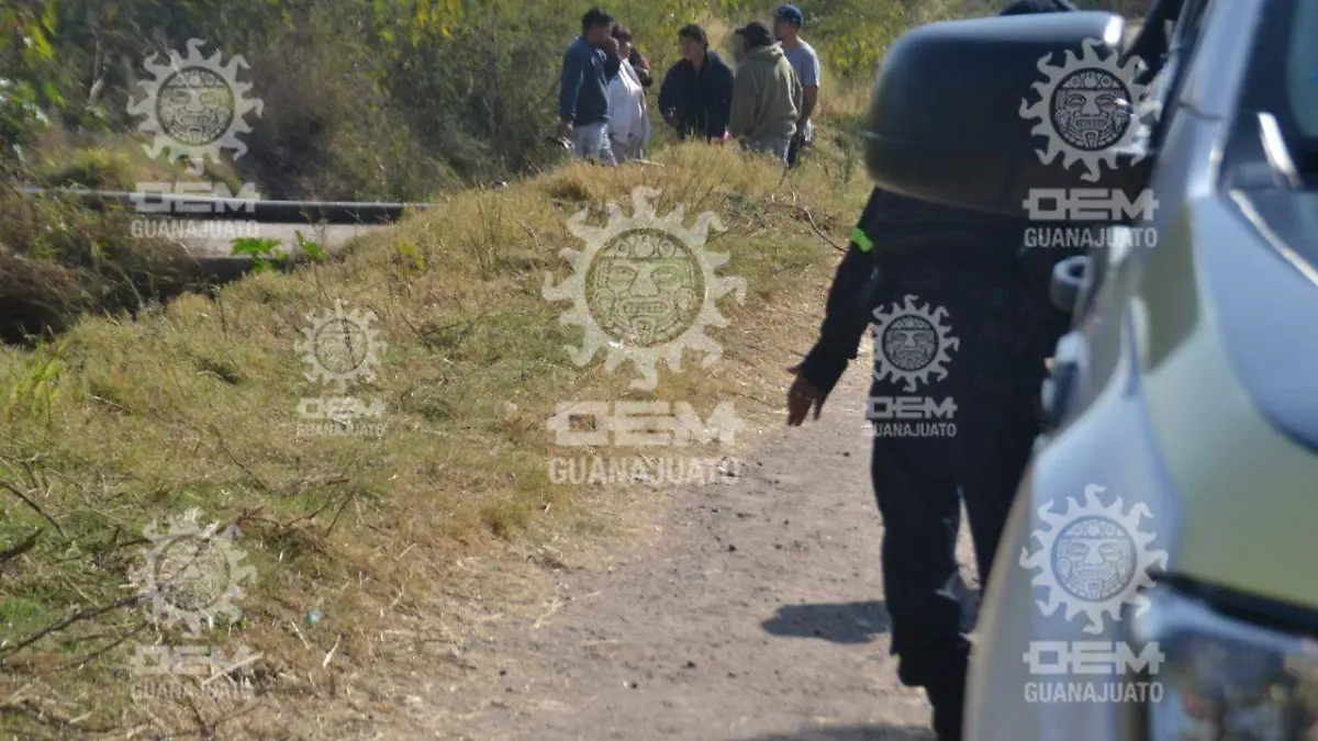 593f60fb-f74b-4fe0-9c1d-31d613d73dc9