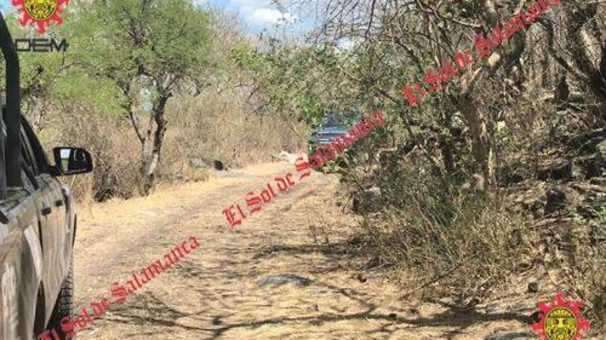 50271d7e-35b1-4ee8-aec1-c60d37407874