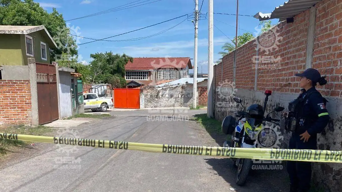 25213891-222d-488f-b66c-3d6baa5a42e0