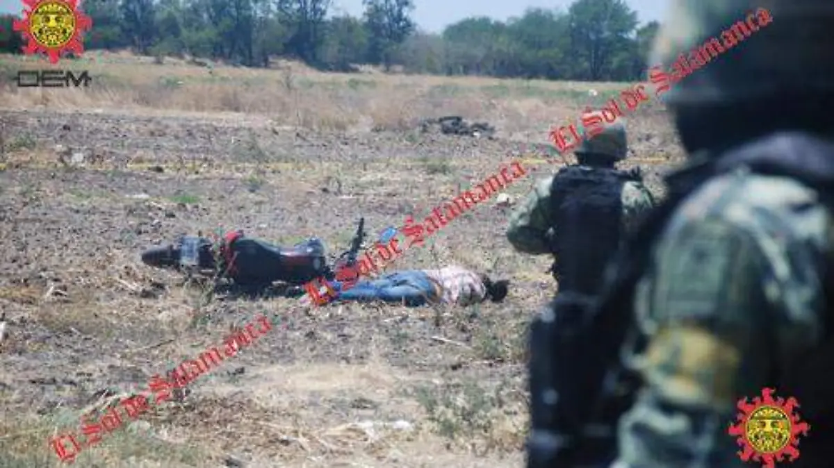 continuan investigaciones