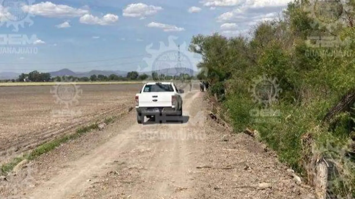 39e28bf2-6c45-460d-8348-cb8fea761ff3