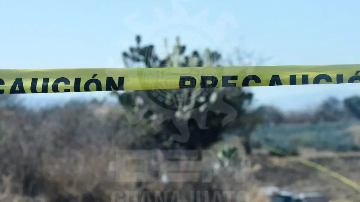 2a4c0323-0fc1-4a66-9120-0278b14df391