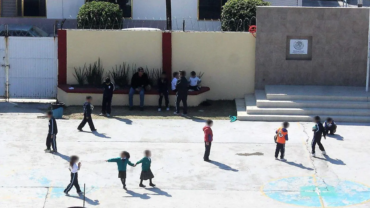 UNPF Pruebas Piloto una buena estrategia  1