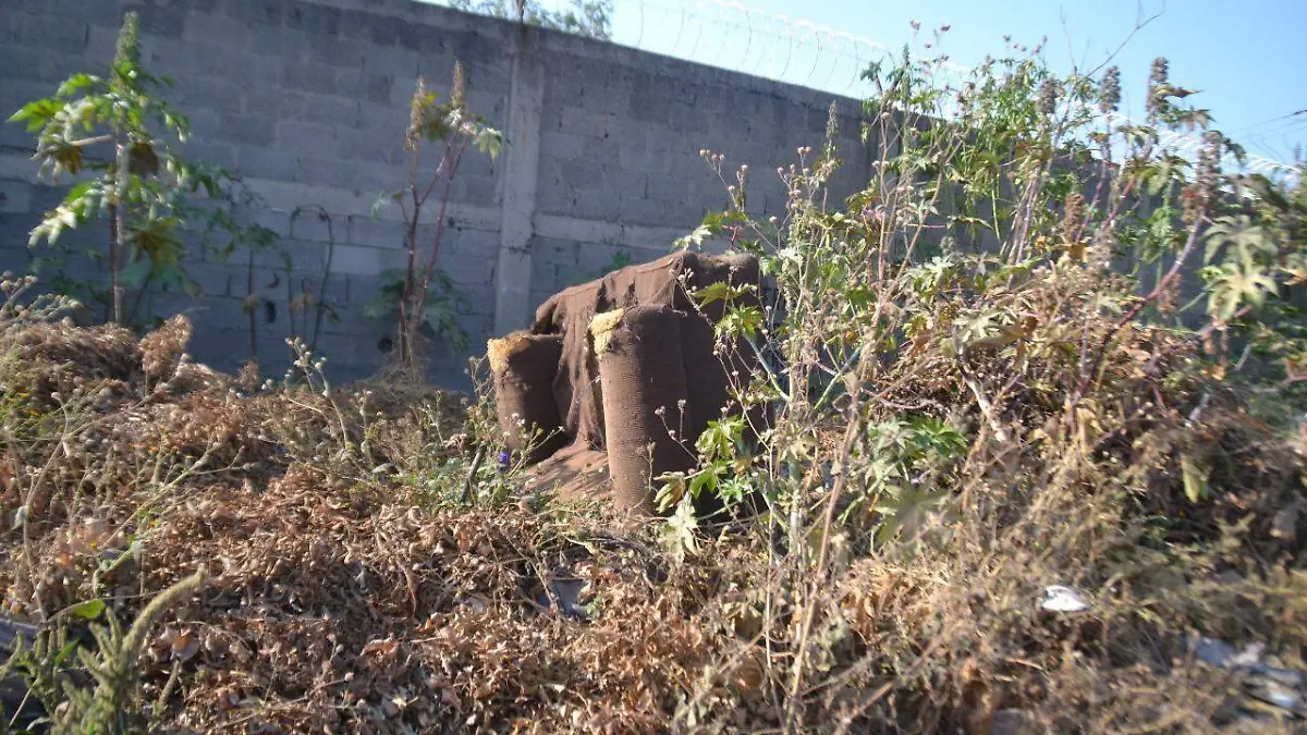 Basura (3)