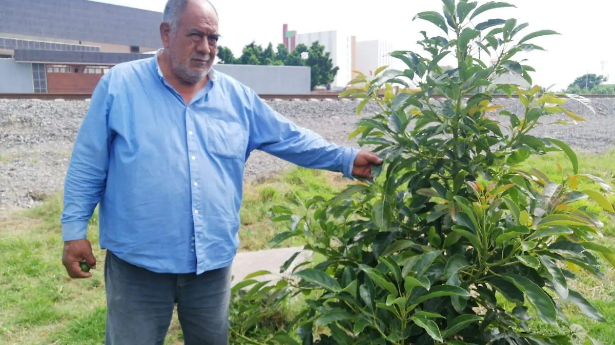JULIO ALFREDO PLANTA ÁRBOLES FRUTALES 1