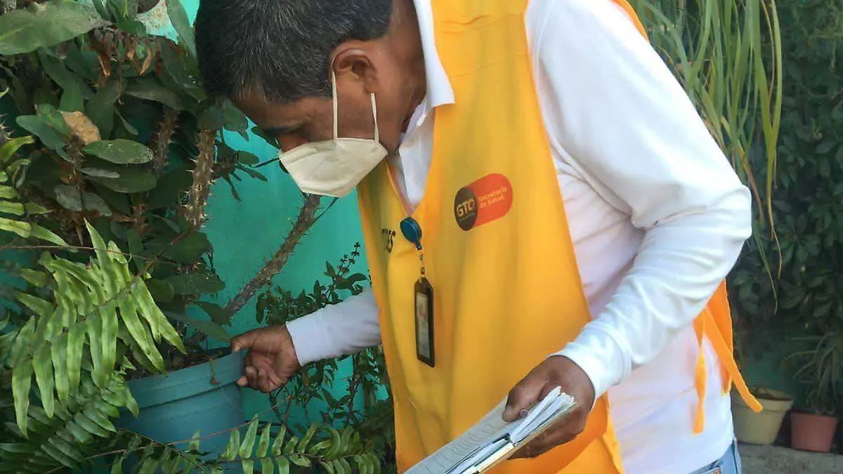 Dengue-2